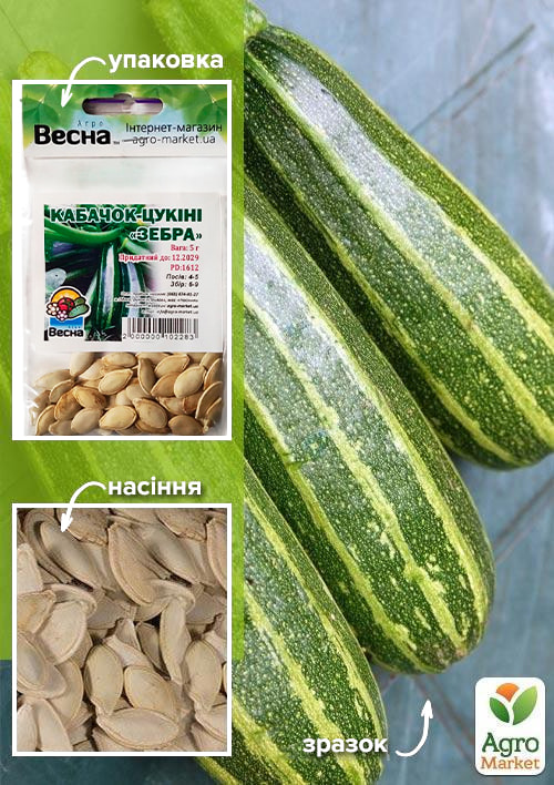 Кабачок "Зебра" (Зипер) ТМ "Весна" 5г