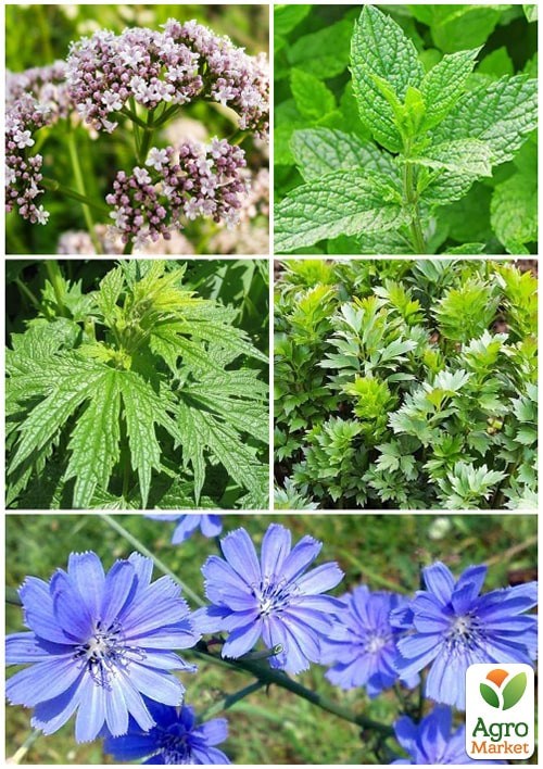 Набор лекарственных трав "Сердечный" ТМ "Vesna Select" 0,7г