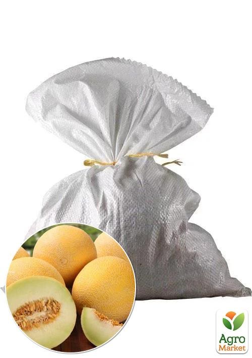 Дыня "Берегиня" ТМ Весна 3кг