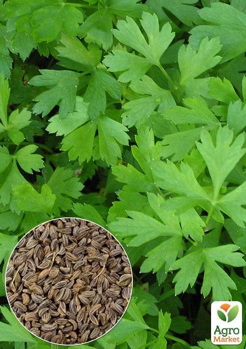 На вагу Петрушка "Балконна" ТМ "Весна" ціна за 10г