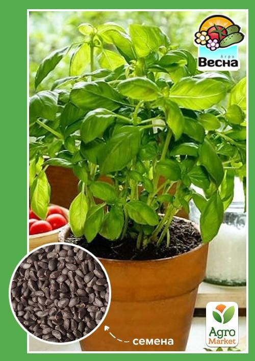 Базилик "Вазонный" (Новый пакет) ТМ "Весна" 0.3г