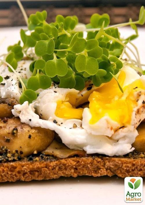 Микрозелень "Дайкон" (в банке) ТМ "Твоя Зеленая Весна" 15г - фото 3