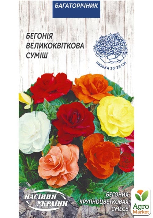 Бегонія крупноквіткова "Суміш" ТМ "Насіння України" 10шт