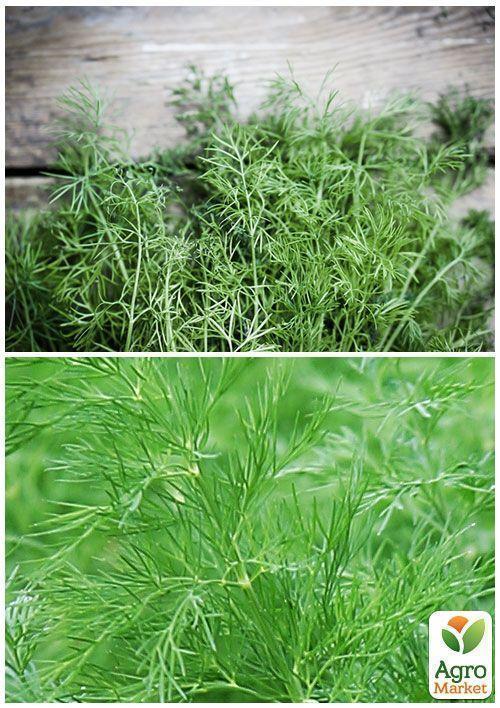 На вагу Кріп "Лісногородський" ТМ "Весна" ціна за 20г - фото 3