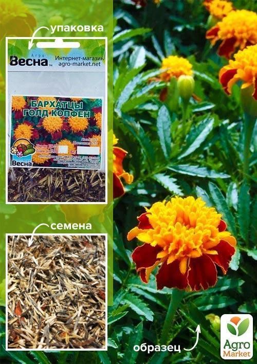 Бархатцы "Голд Копфен" (Зипер) ТМ "Весна" 1г