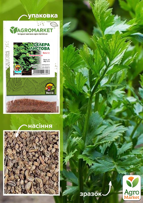 Селера листова (Зипер) ТМ "Весна" 1г