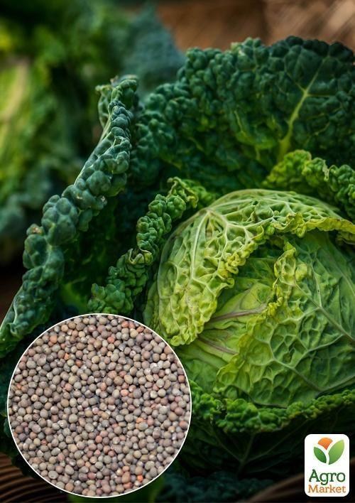 На вагу Капуста "Савойська" ТМ "Весна" ціна за 2г