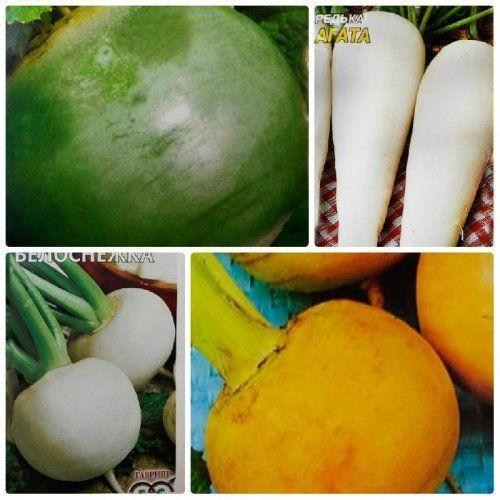 Комплект семян редьки и репы "Урожайный" 5уп