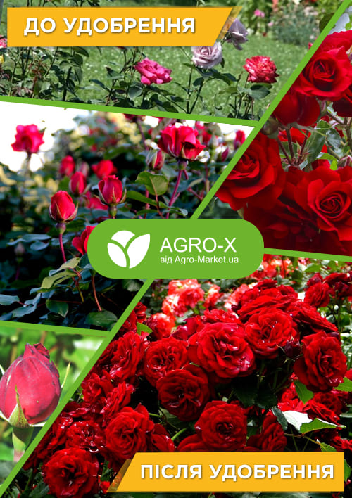 Гранулированное минеральное удобрение BIOGrand "Для роз" (БИОГранд) ТМ "AGRO-X" 1кг