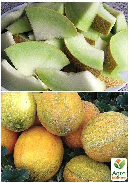 На развес Дыня "Казачка" ТМ "Весна" цена за 6г - фото 4