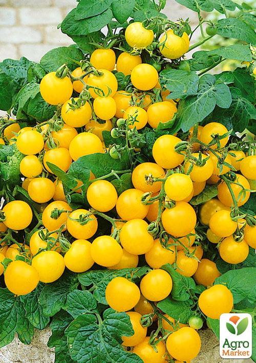 Томат "Черрі золотий" (Зипер) ТМ "Весна" 0.5г - фото 3