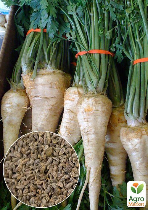 На вагу Петрушка коренева ТМ "Весна" ціна за 5г