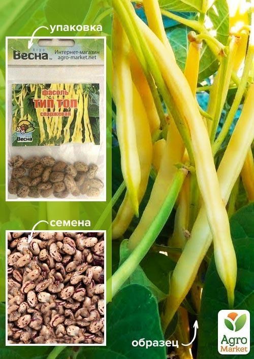 Фасоль спаржевая "Тип топ" (Зипер) ТМ "Весна" 10г