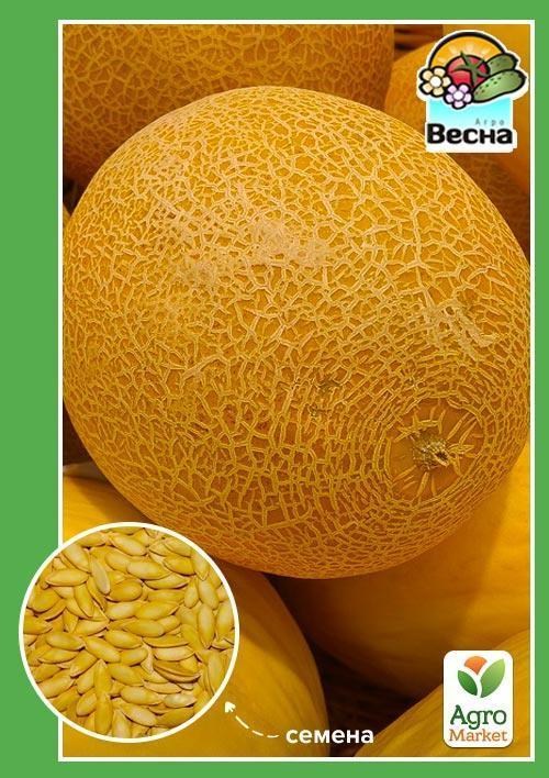 Дыня "Казачка 244" ТМ "Весна" 1.5г