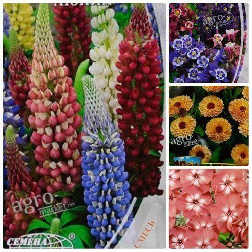 Комплект семян цветов "Прекрасный день" 5уп