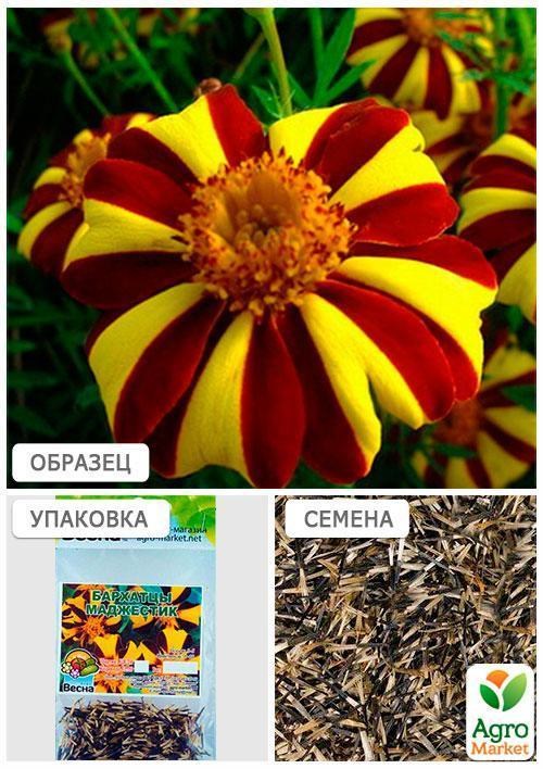 Бархатцы "Маджестик" (Зипер) ТМ "Весна" 1г - фото 2