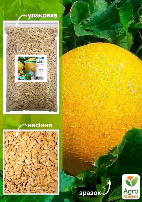 Дыня "Ранняя 133" ТМ "Весна" 100г