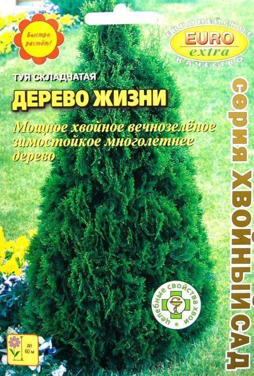 Туя складчатая "Дерево жизни" ТМ "АЭЛИТА" 0.2г