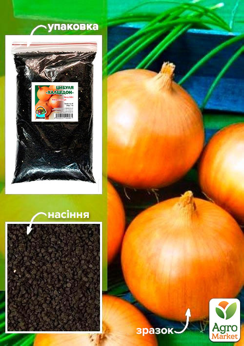Цибуля"Халцедон" ТМ "Весна" 500г