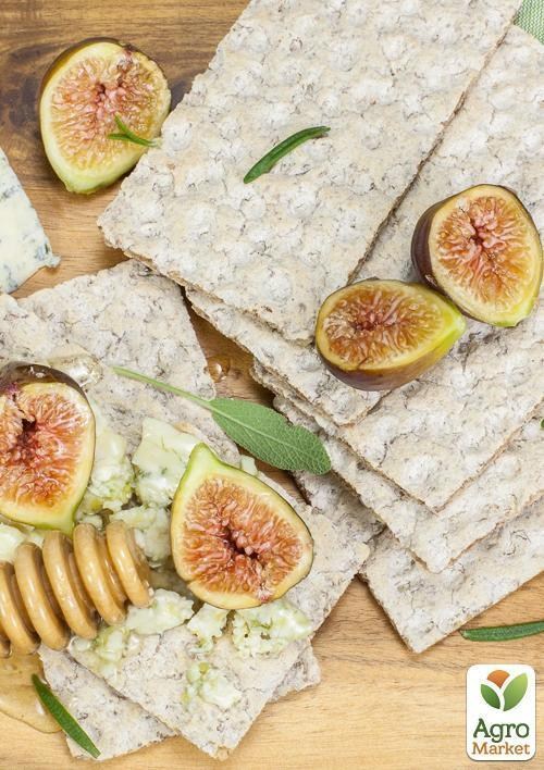 Инжир "Далматский" (Турецкий белый) с плодом (возраст 1,5 года) - фото 3