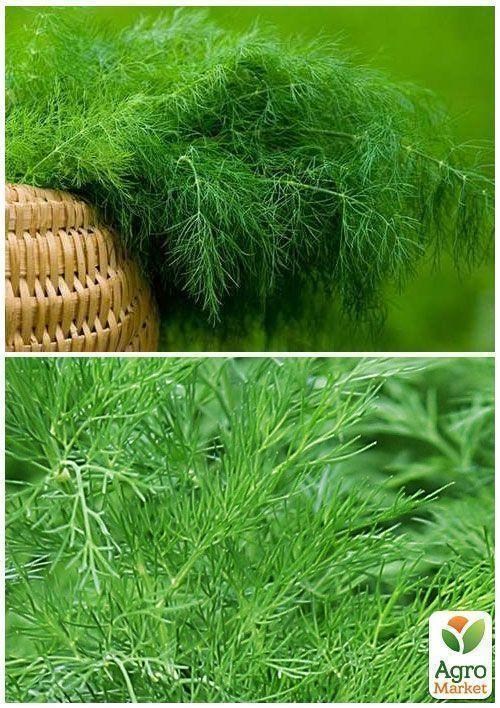 На вагу Кріп "Духмяний пучок" ТМ "Весна" ціна за 20г - фото 4