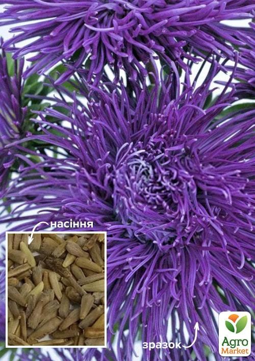 Астра игольчатая "Валькирия виолет" ТМ "Весна" 100г