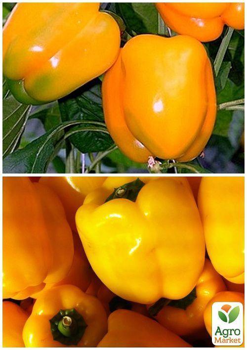 На развес Перец "Золотое чудо" ТМ "Весна" цена за 1г - фото 3