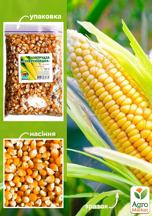 Кукурудза "Суперсолодка" ТМ "Весна" 500г