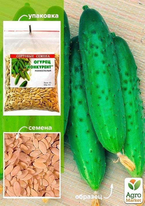 Огурец "Конкурент" ТМ "Весна" 100г