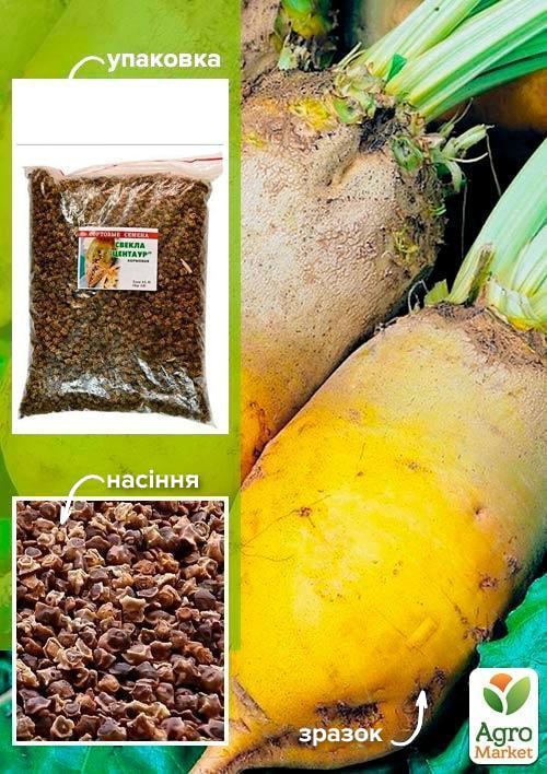 Буряк Кормовий "Центаур" ТМ "Весна" 500г