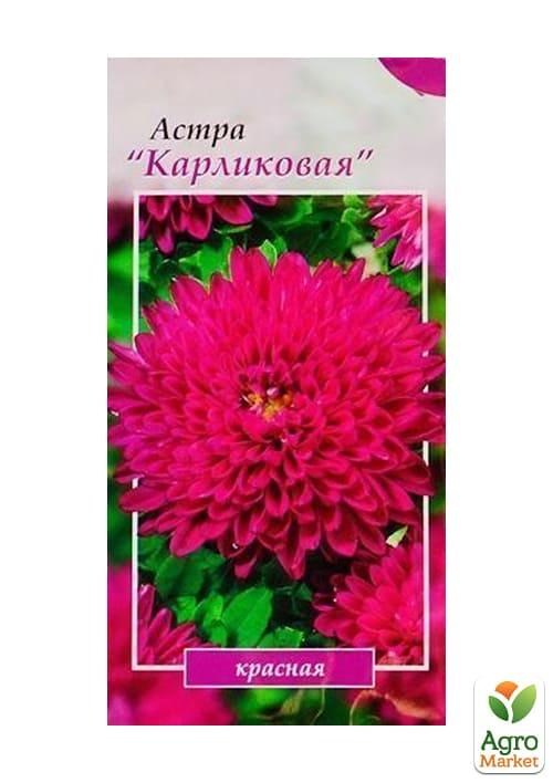 Астра "Карликовая красная" ТМ "Весна" 0.2г - фото 2