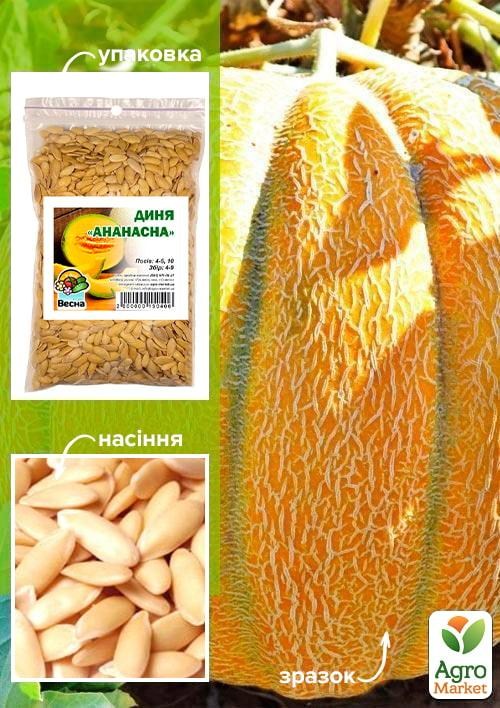Дыня "Ананасная" ТМ "Весна" 100г