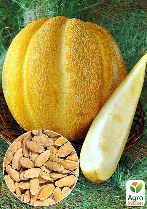 На развес Дыня "Эфиопка" ТМ "Весна" цена за 6г