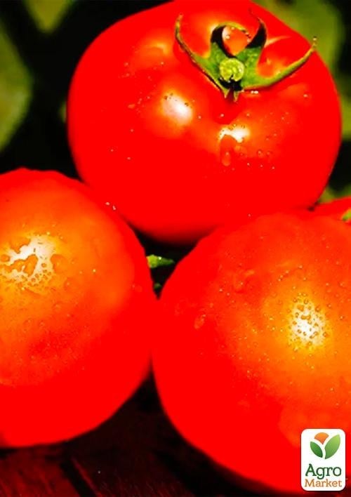 Томат "Дворцовый" ТМ "Vesna Select" 0.2г