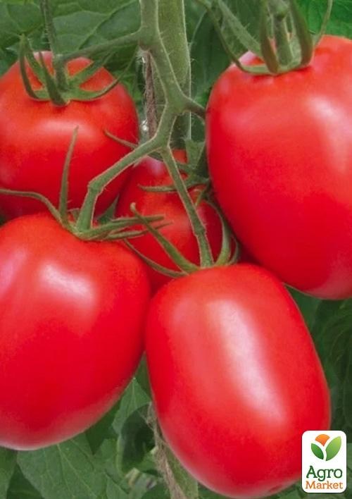 Томат детермінантний «Ріо Гранде» ТМ «Lark Seeds» 500г