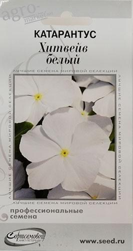 Катарантус "Хітвейв білий" ТМ "Будинок насіння" 15шт