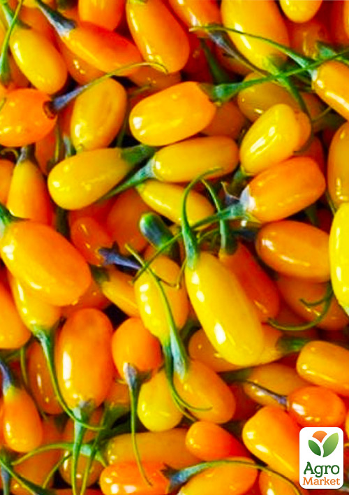 Годжі жовтий "Голден Беррі "(Golden Berry)