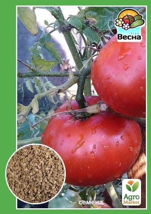 Томат "Донецький" ТМ "Весна" 0.2г