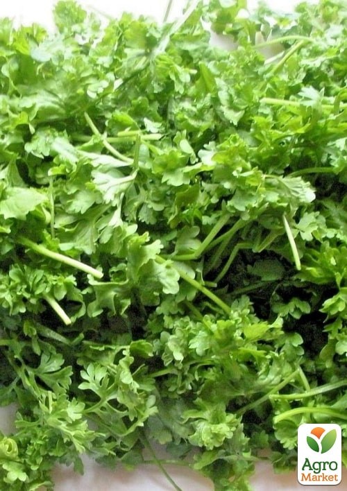 На развес Кресс-салат "Ажур" ТМ "Весна" цена за 3г - фото 2
