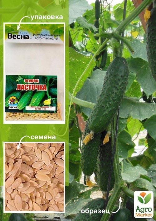 Огірок "Ластівка" (Зипер) ТМ "Весна" 2г