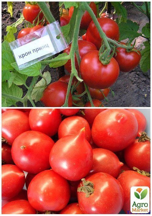 На вагу Томат "Крон Принц" ТМ "Весна" ціна за 1г - фото 3