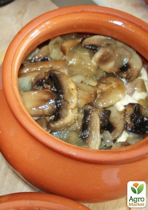 Сухой зерновой мицелий "Белый гриб сосновый" 100г - фото 2