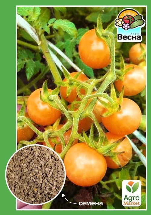 Томат "Киш-Миш оранжевый" (Новый пакет) ТМ "Весна" 0.1г