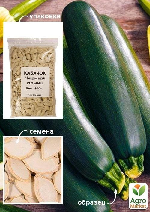 Кабачок "Черный принц" ТМ "Весна" 100г