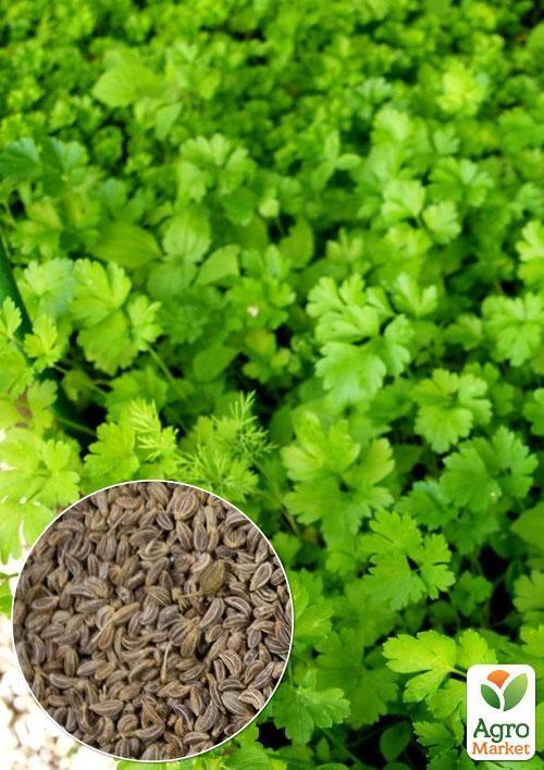 На развес Петрушка "Богатырь" ТМ "Весна" цена за 10г