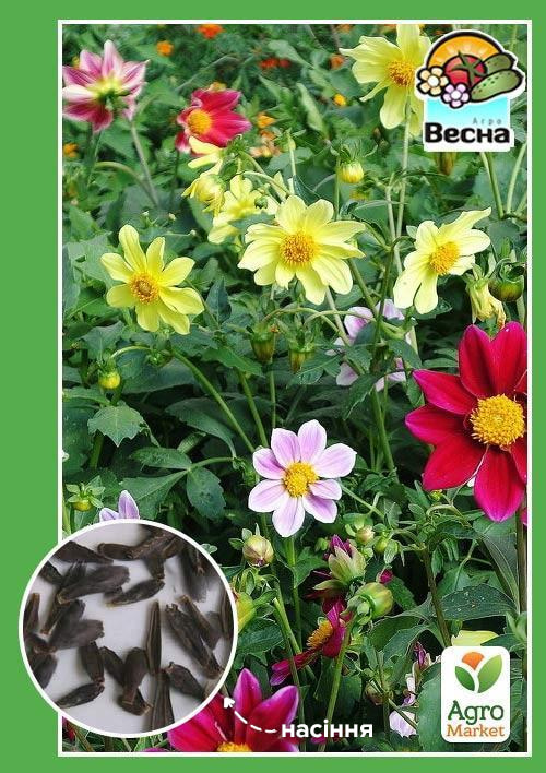 Жоржина "Веселі хлопці" ТМ "Весна" 0.2г