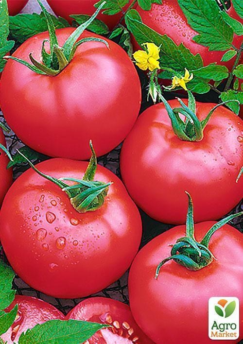 Томат "Ляна розовая" (Зипер) ТМ "Весна" 0,5г - фото 2