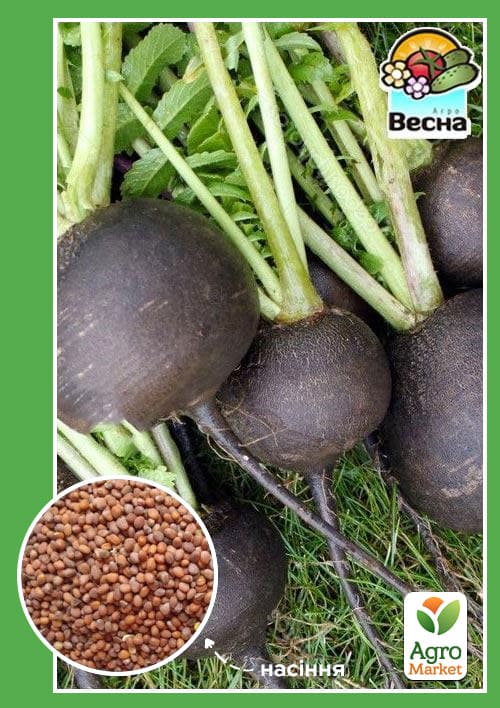 Редька "Черная зимняя" ТМ "Весна" 2г