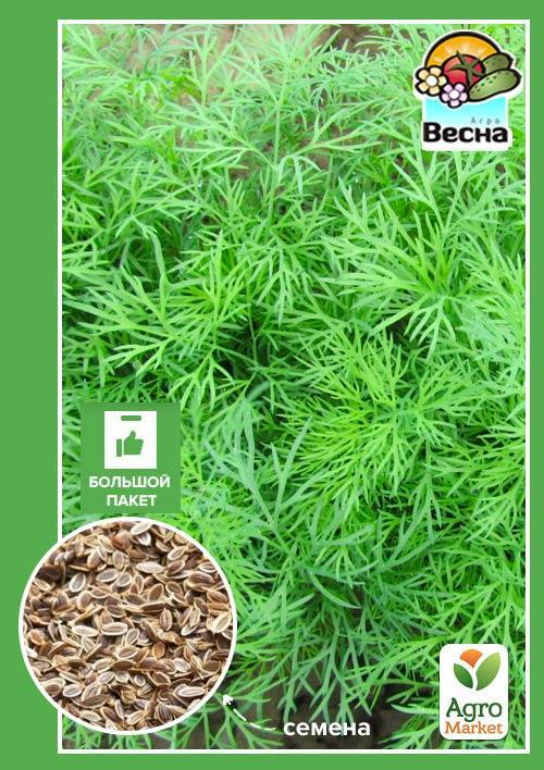 Укроп "Харьковский-85" (Большой пакет) ТМ "Весна" 6г