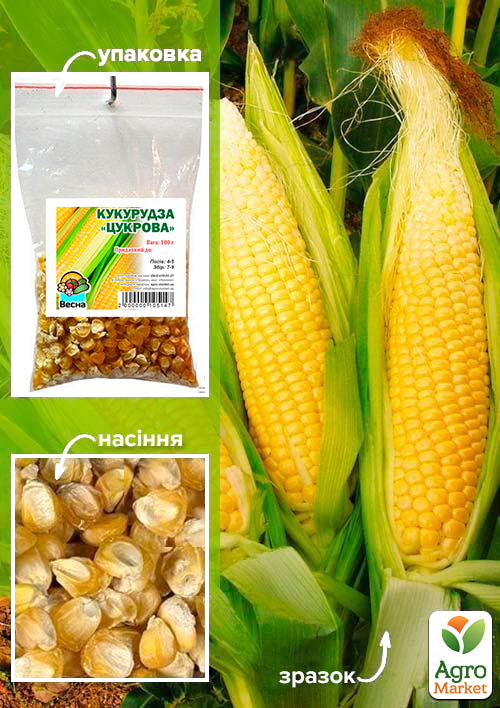 Кукуруза "Сахарная" ТМ "Весна" 100г